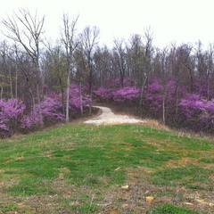 Lockegee Rock and Cave Run Lake